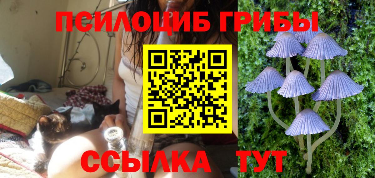 Галлюциногенные грибы ЛСД Балаково