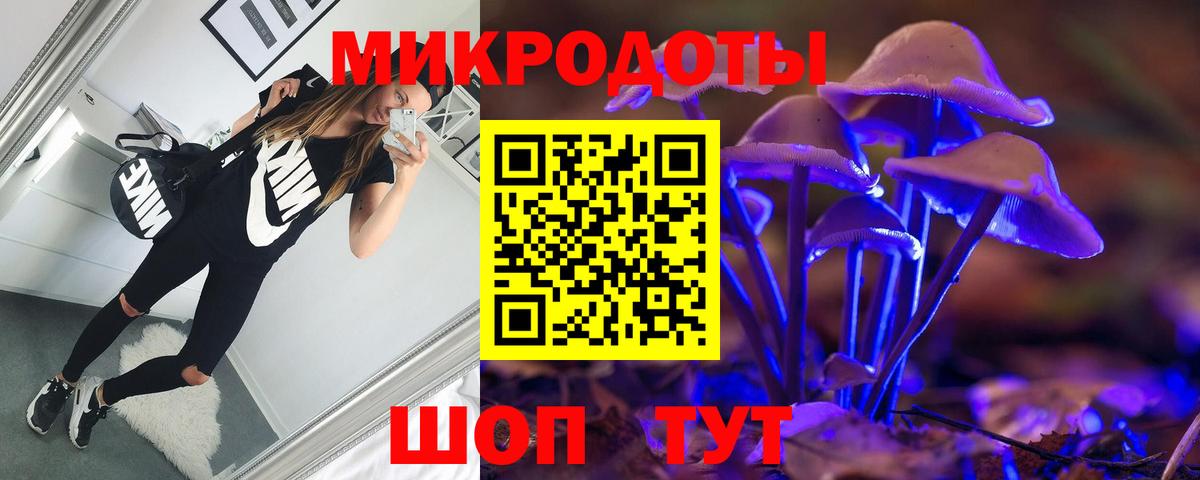 Балаково  Псилоцибиновые грибы Psilocybine cubensis  Вход с VPN  Галлюциногенные грибы прущие грибы 